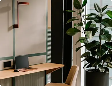 Creative Workstation Setup